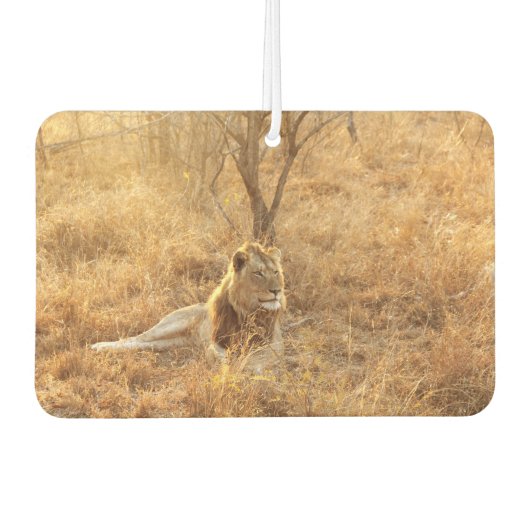 Lion Autolufterfrischer (Vorderseite)