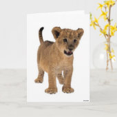 Lion Baby Card Karte (Gelbe Blume)