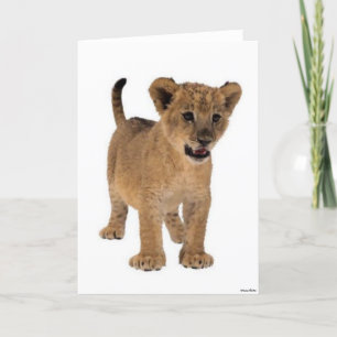 Lion Baby Card Karte
