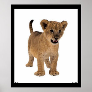 Lion Baby Poster