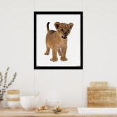 Lion Baby Poster (Küche)