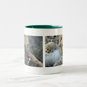Lion Babys Zweifarbige Tasse