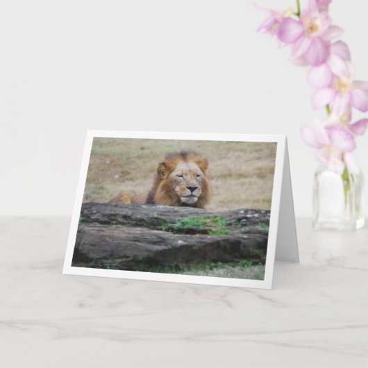 Lion Behind Rock Karte (Orchidee)