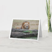 Lion Behind Rock Karte (Vorderseite)