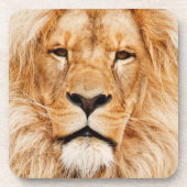 Lion Beverage Coaster Getränkeuntersetzer (Vorderseite)