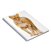 Lion Big Cat Predator Stolz Notizblock (Rechte Seite)