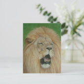 Lion Big Cat Wildlife Realist Art Postkarte (Stehend Vorderseite)