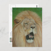 Lion Big Cat Wildlife Realist Art Postkarte (Vorne/Hinten)