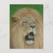 Lion Big Cat Wildlife Realist Art Postkarte (Vorderseite)