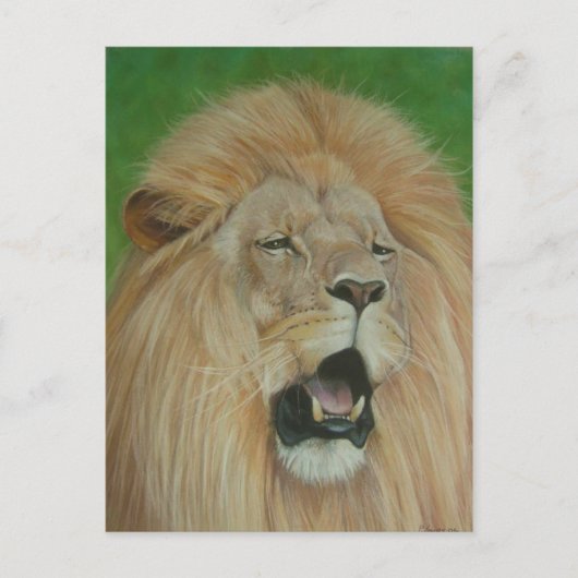 Lion Big Cat Wildlife Realist Art Postkarte (Vorderseite)