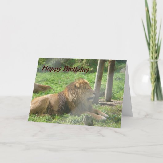 Lion Birthday Card Karte (Vorderseite)
