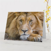 LION BIRTHDAY GREETING CARD KARTE (Gelbe Blume)