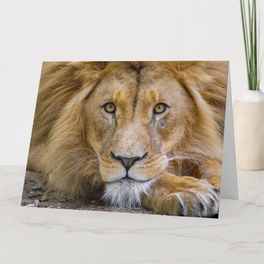 LION BIRTHDAY GREETING CARD KARTE (Vorderseite)
