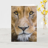 LION BIRTHDAY GREETING CARD KARTE (Gelbe Blume)