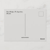 Lion Bridge St Augustine Florida Postkarte (Rückseite)