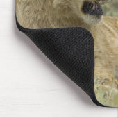 Lion Brothers Mousepad (Ecke)