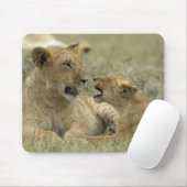 Lion Brothers Mousepad (Mit Mouse)