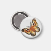 Lion Butterfly Magnet (Vorderseite/Rückseite)