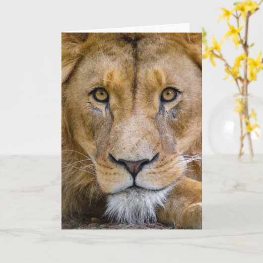 LION CARD BLANK KARTE (Gelbe Blume)