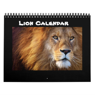 Lion Cat Cats Roar Welcome Zuhause Destiny Destiny Kalender