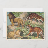 Lion cat Dschungel Gender Neutral Baby Dusche by M Einladung (Rückseite)