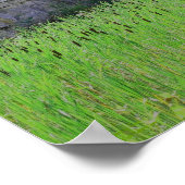 Lion Cattails Stone Wall Fantasy Art Poster (Ecke)