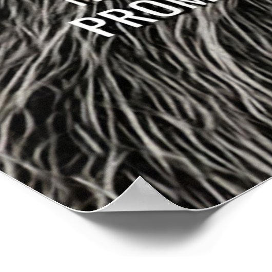 Lion Chase Your Dreams Poster (Ecke)