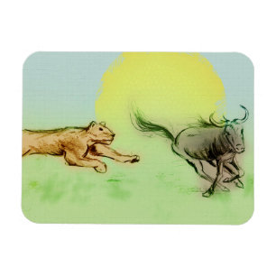 Lion Chasing Buffalo im Wilden Foto Magnet