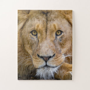 LION CLOSEUP FOTOGRAFIE JIGSAW PUZZLE