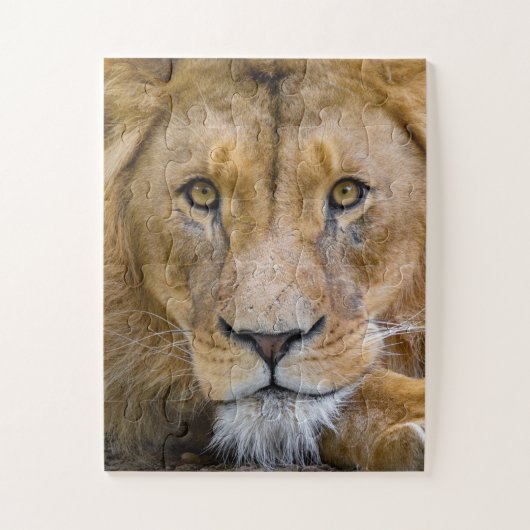 LION CLOSEUP FOTOGRAFIE JIGSAW PUZZLE (Vertikal)