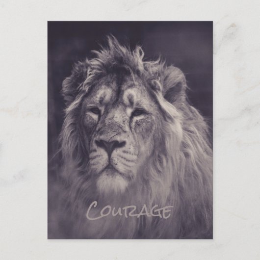 Lion Courage King of the Dschungel Postkarte (Vorderseite)