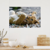 Lion Cub 2 Poster (Küche)