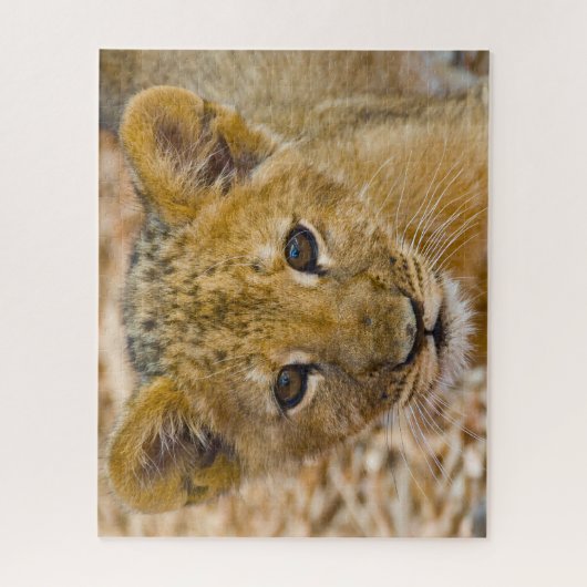 Lion Cub Big Cats. Puzzle (Vertikal)