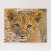 Lion Cub Big Cats. Puzzle (Horizontal)