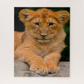 Lion Cub Big Cats. Puzzle (Vertikal)