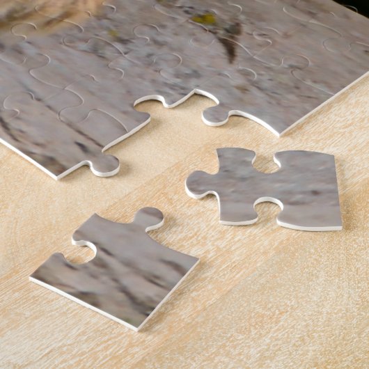 Lion Cub Big Cats. Puzzle (Seite)