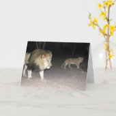 Lion & Cub Card Karte (Gelbe Blume)