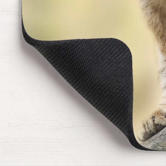 Lion Cub Climbing Tree Cute Photo Mousepad (Ecke)