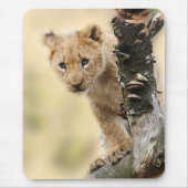Lion Cub Climbing Tree Cute Photo Mousepad (Vorne)