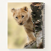 Lion Cub Climbing Tree Cute Photo Notizblock (Rückseite)