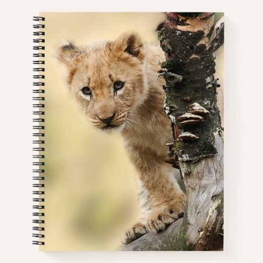 Lion Cub Climbing Tree Cute Photo Notizblock (Vorderseite)