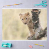 Lion Cub Decoupage Tissue Paper Seidenpapier (Basteln)