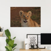 Lion cub in Masai Mara Poster (Heimbüro)