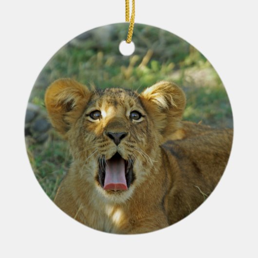 Lion Cub Keramikornament (Vorne)