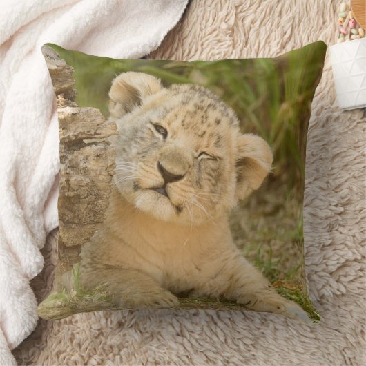 Lion Cub Kissen (Decke)