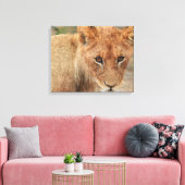 Lion Cub Leinwanddruck (Insitu (Wohnzimmer))