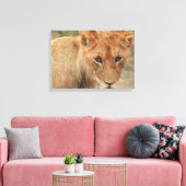 Lion Cub Leinwanddruck (Insitu (Wohnzimmer))