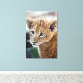 Lion Cub Leinwanddruck (Insitu (Holzboden))