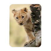 Lion Cub Magnet (Vertikal)