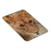 Lion Cub Magnet (Rechte Seite)
